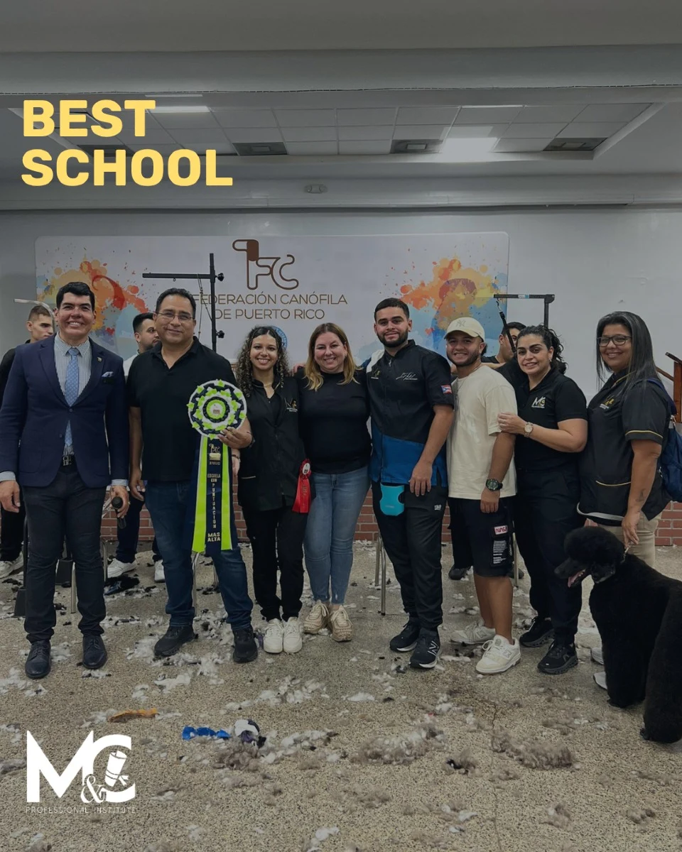 Eqiupo M&C professional Puerto Rico
