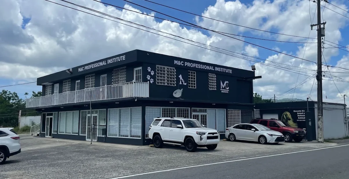 M&C professional institute edificio